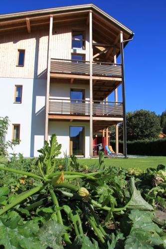 Garni - Hotel Am Burghuegel - image 10