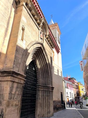 Remolars Sevilla - image 14