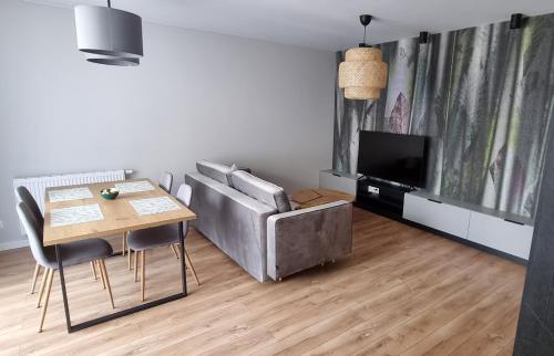 Apartament z klasą - Apartment - Gliwice