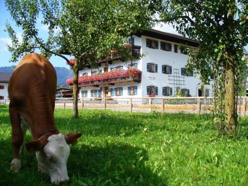 Beim Lenz - Hotel - Schleching