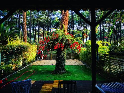  Dolphin Aroeira Beach Villa in Charneca