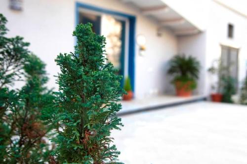  Domus Vilù in Nocera Superiore