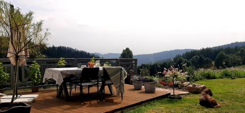Apartament Czar-nów
