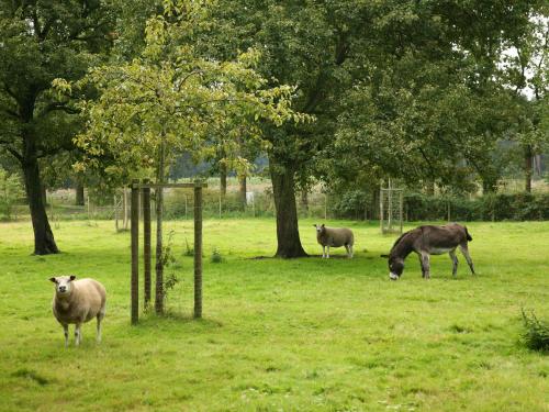 Rural holiday home in former stables