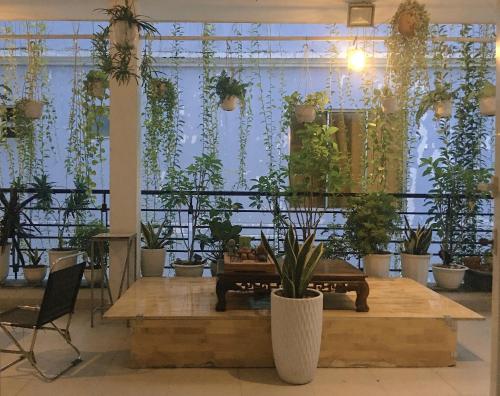 Létesítmények, Hello SaiGon Homestay in 3. kerület