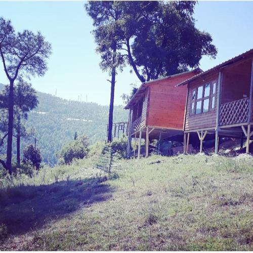 Golden valley cottages, Chail photo