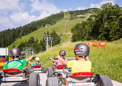 JUFA Hotel Erlaufsee - image 7