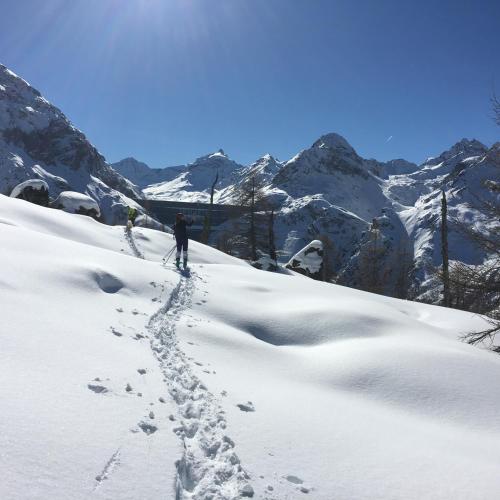 Immeuble Mont Noble - image 5