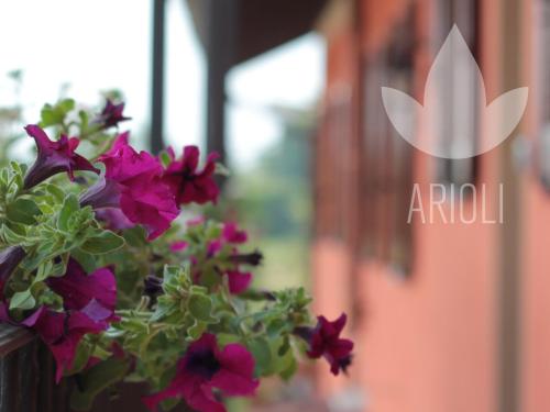 Top Residence Arioli chambre d'hôte Legnano