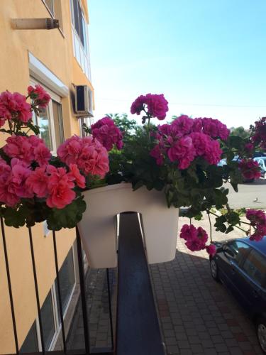 Balcony/terrace, Angel apartament near Sibiu International Airport