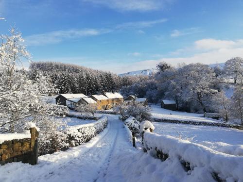 Bluebells Cottage