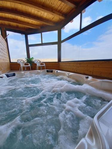 Dolphin Suites Hotel in Jeriko