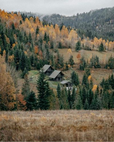 Cottages Shepit Lisu - Rosokhach