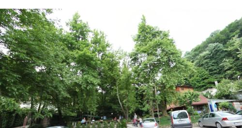 Yazicilar Hotel - image 11