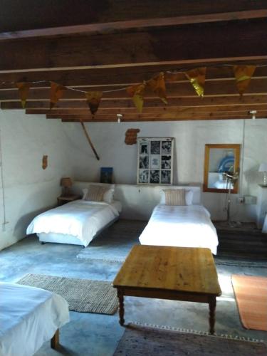 1 twin bed