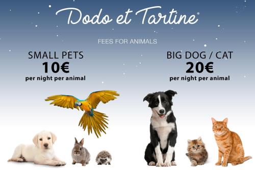 Seafront 4 bedroom with pool - Dodo et Tartine gîte à louer Les Cabanes du Gapeau