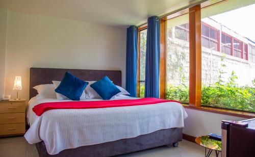 1 king bed