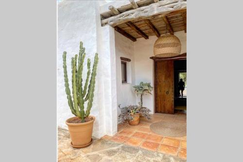 Charming countryside house in Ibiza