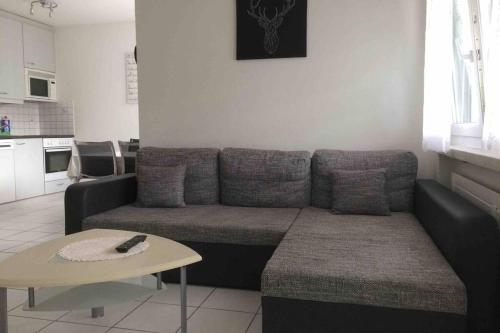 Komplettes Appartment 15 Minuten von Basel Zentrum