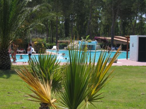 Case Vacanze nel villaggio Sant'Andrea gîte à louer Santa Domenica