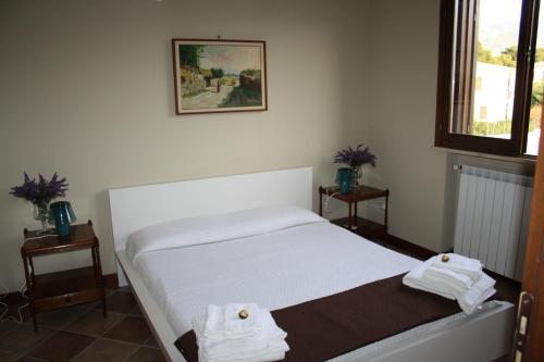 Dal Barone Vincenti - image 4