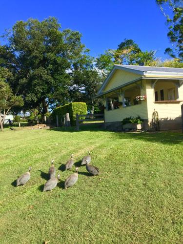 CedarBrae Country Stay