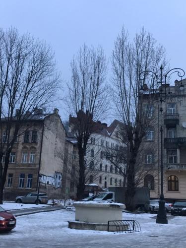 Центр пл Старий ринок Apartment in the center of Lviv Поруч громадська парковка, Lviv (foto 8)