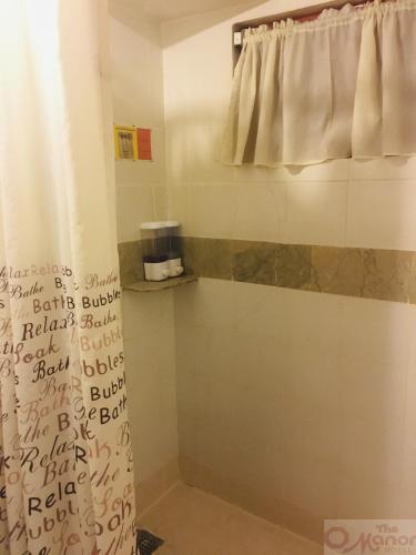 ザ マナー ホテル ダバオ