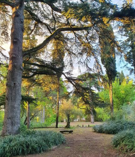 Quinta da Bizelga Cottages