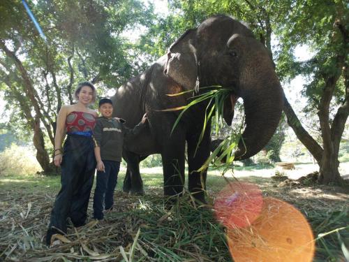 Sappraiwan Elephant Resort & Sanctuary