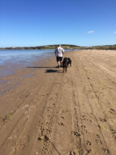 Country Retreat Sleeps 2 near Cymyran beach in Valley