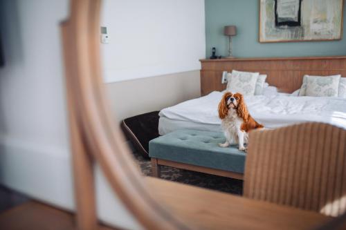 287900529 Art Hotel