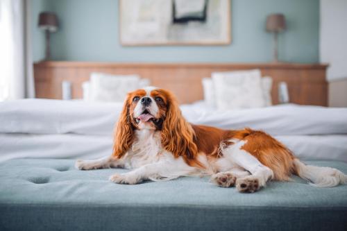 287900609 Art Hotel