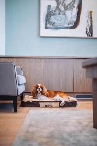 287902256 Art Hotel