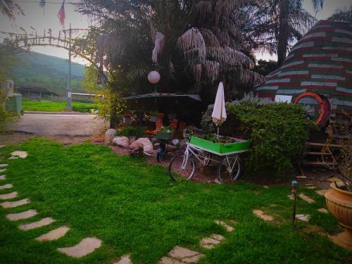 Suite in nature, Menaẖemya (foto 5)