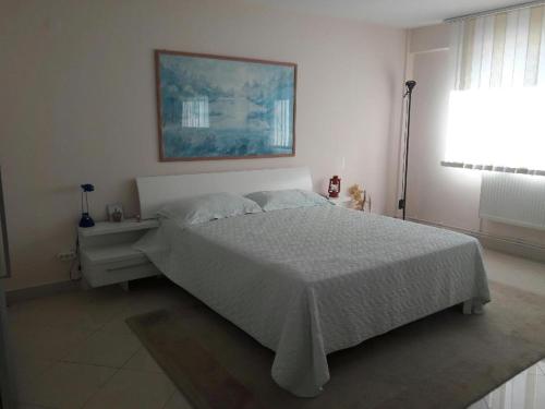 Apartament de lux Melaverde(inclusiv sala de conferinta si evenimente)