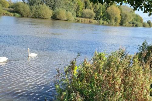 Lady Bay Apartments in 雷迪灣