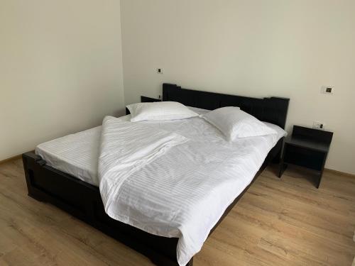 Pensiunea Valea Pintei - Vatra Dornei