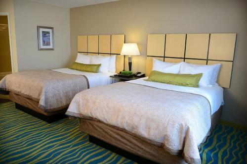 2 queen beds