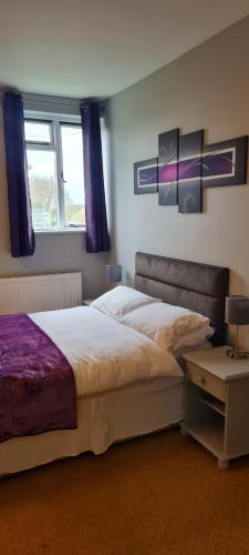 The Dog Inn - image 11