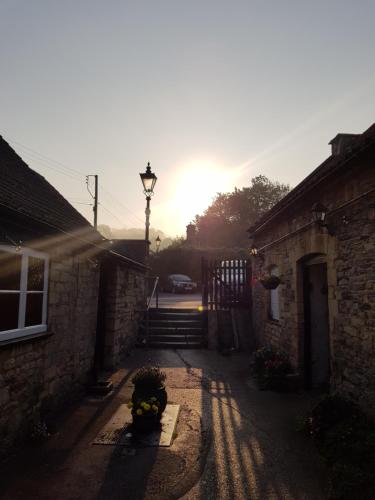 The Dog Inn - image 7