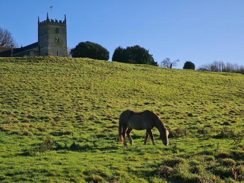 The Dog Inn