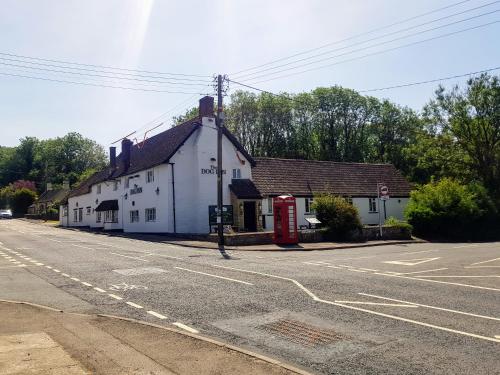 The Dog Inn - image 4