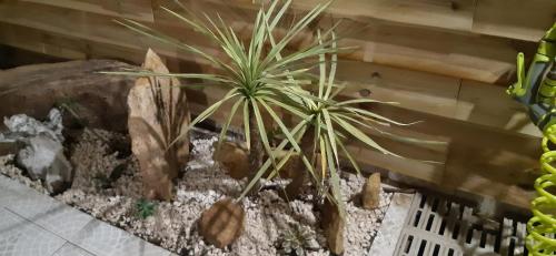 Villa LA CACHETTE (wifi, parking, clim, accès piscine) gîte à louer La Grande Motte