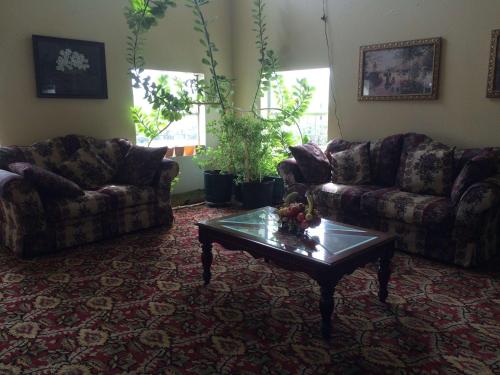 Executive Inn Schulenburg - image 6