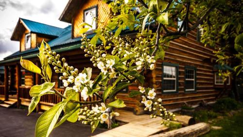 Dodge Peak Lodge - Hotel - Bonners Ferry