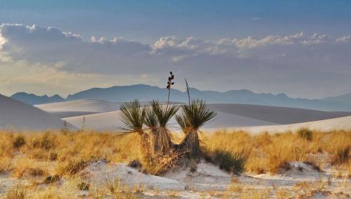 The Classic Desert Aire Hotel