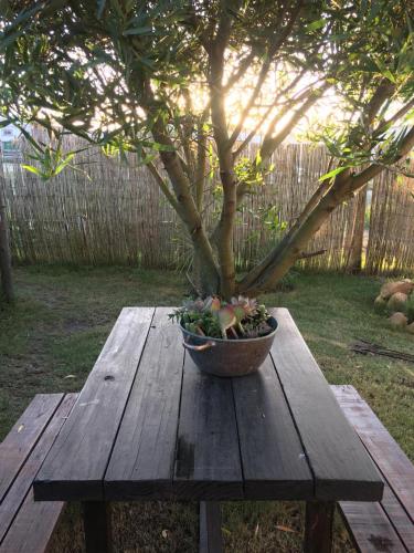 Kert, Azulado la Juanita Jose Ignacio in Jose Ignacio