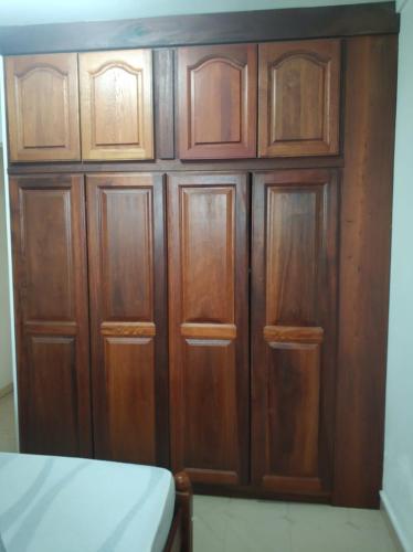 Mandariniers 97232 5