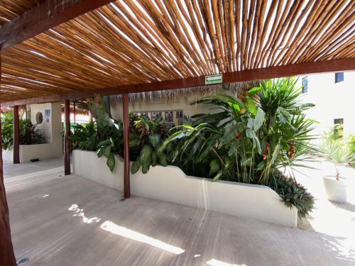 287975077 Blue Palm Bacalar